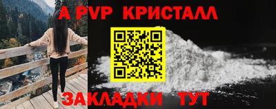 СК Славгород