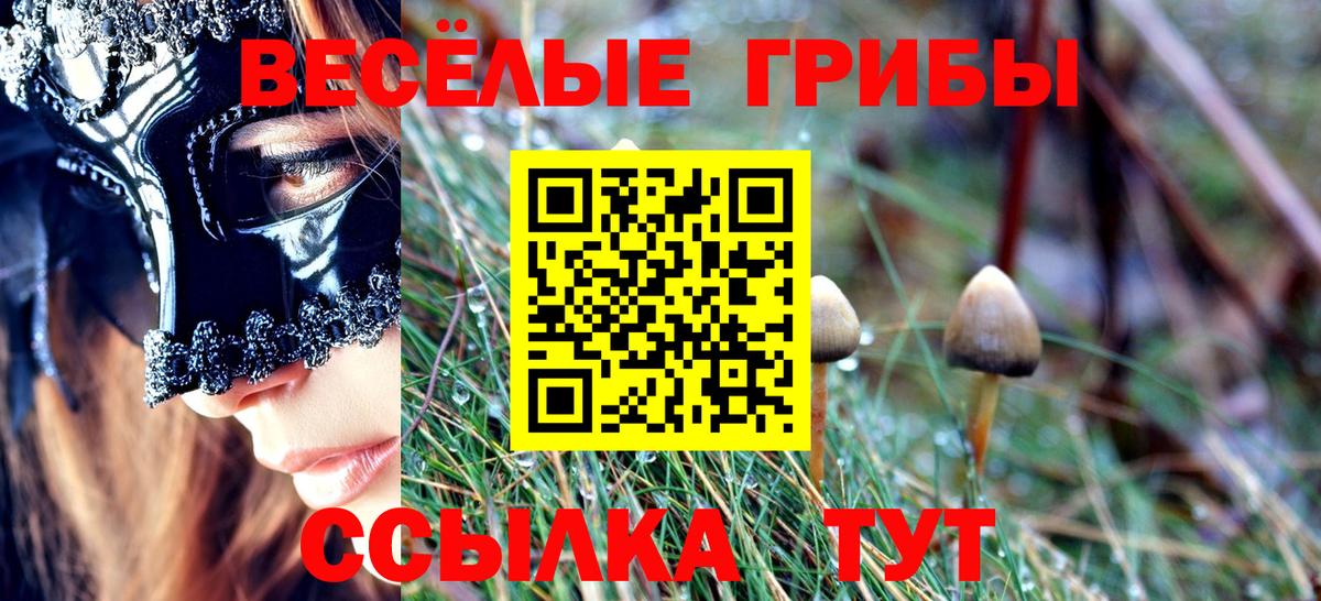 Псилоцибиновые грибы мухоморы Балашиха