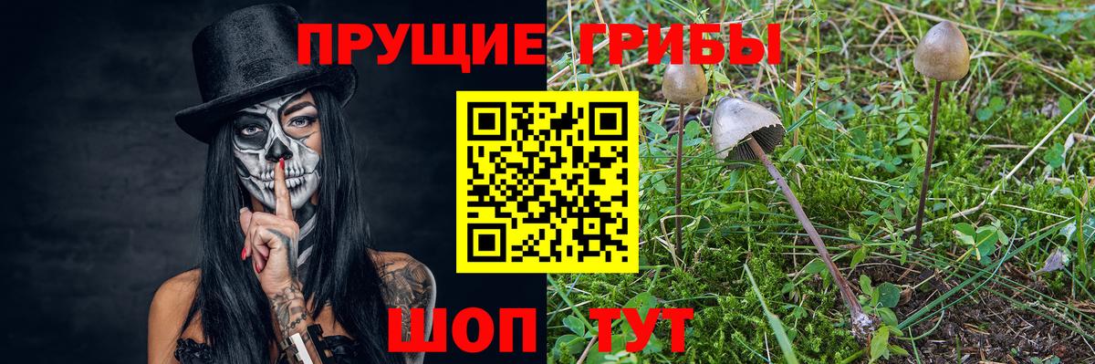 сколько стоит  Вход с VPN  Балашиха  Галлюциногенные грибы Cubensis 