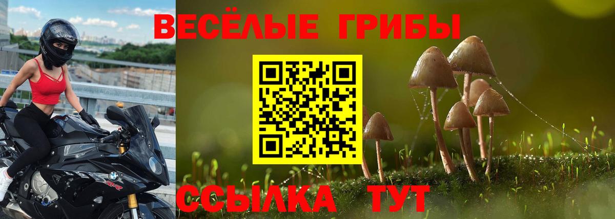 ГАШ Балашиха